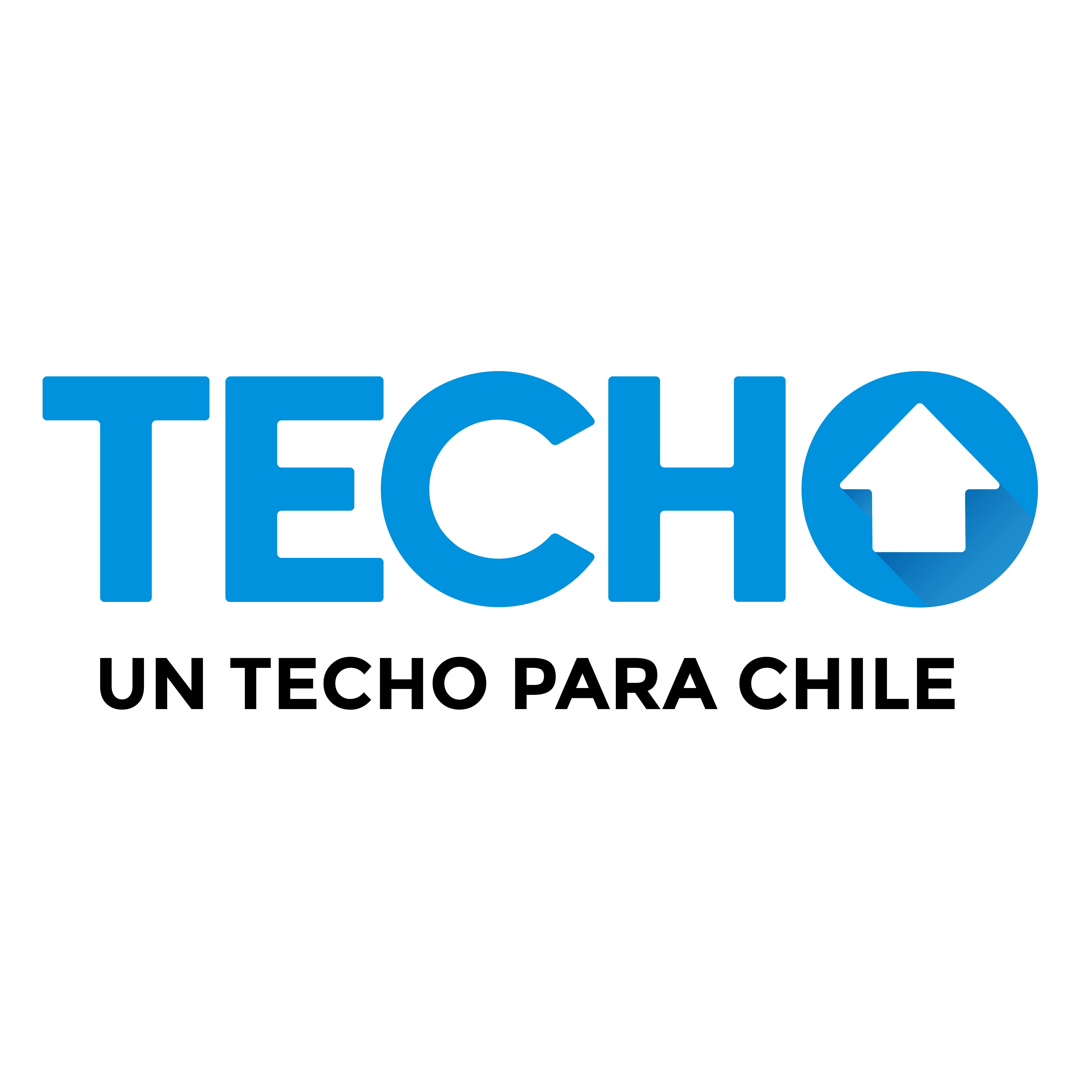 LOGO TECHO COLOR (1)